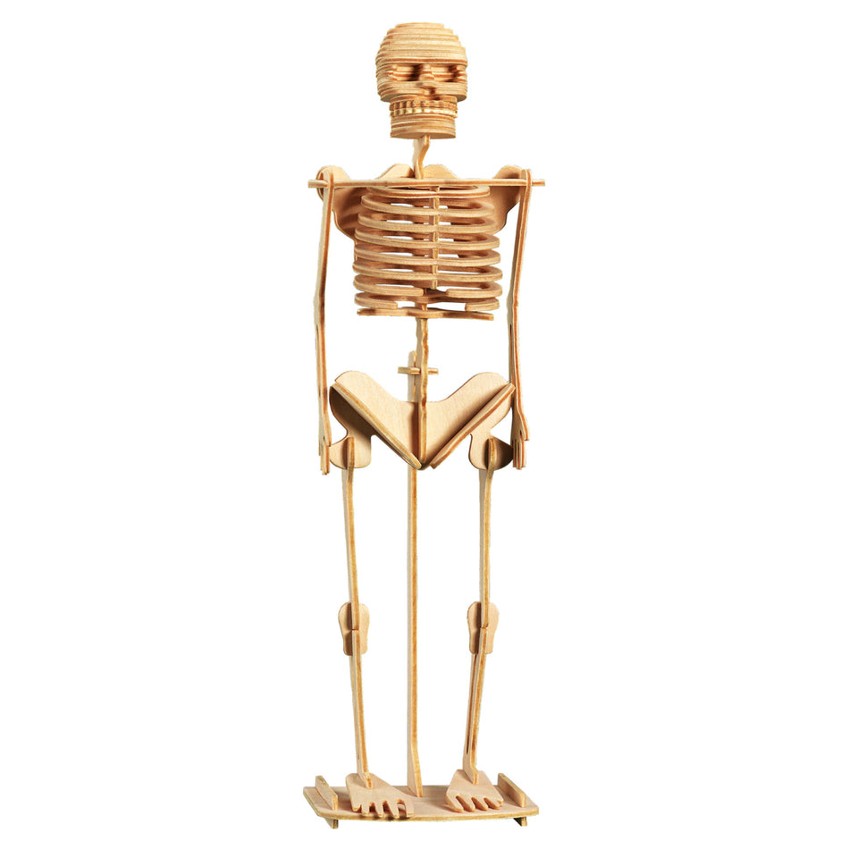 Wootec Menselijk Skelet / Human Skeleton BE601